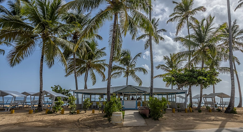 CostArena Beach Hotel - Republica Dominicana