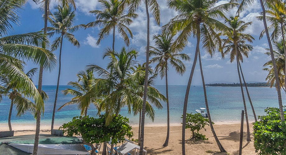 CostArena Beach Hotel - Republica Dominicana